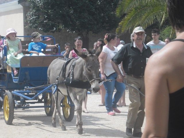 fete ane 2014 (56).jpg